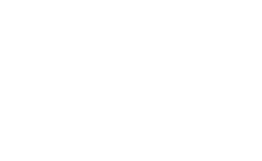 لوگو نیک رای